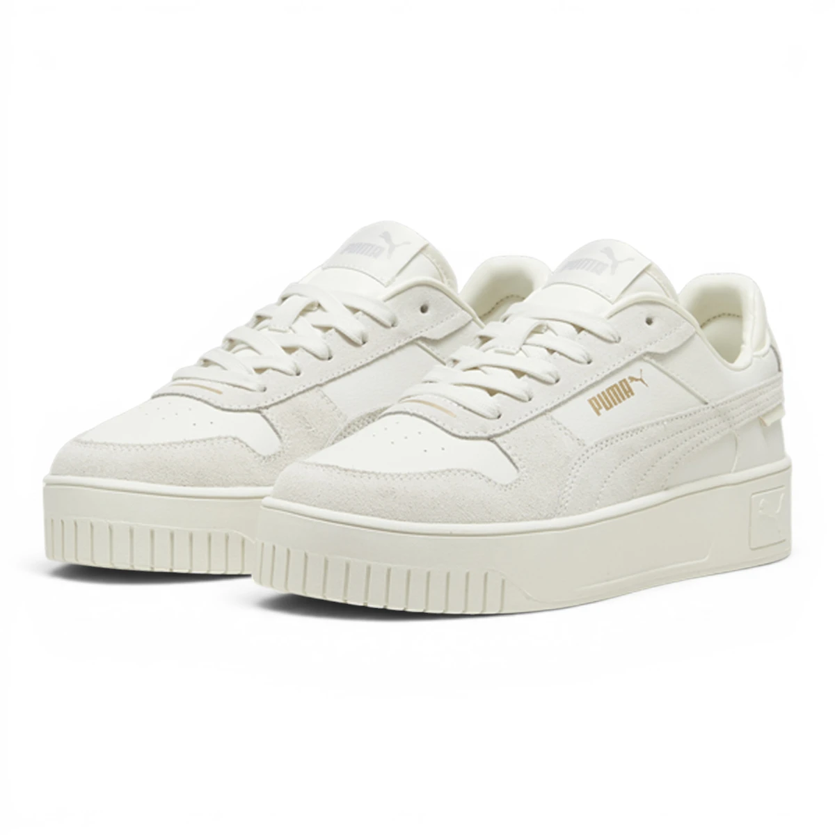 395093-02 Puma Carina Street SD