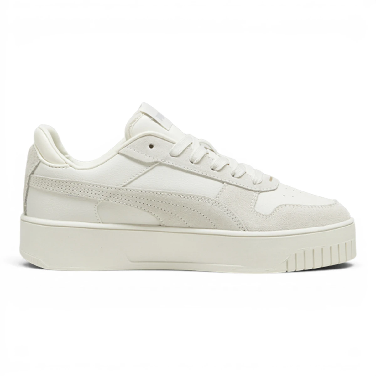 395093-02 Puma Carina Street SD