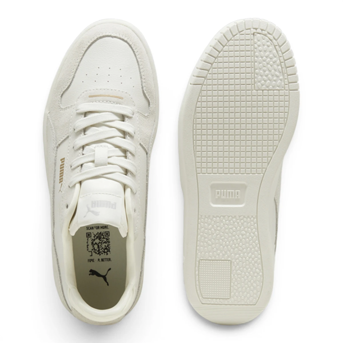 395093-02 Puma Carina Street SD
